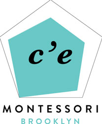 Brooklyn summer camps