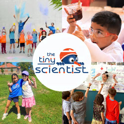 Brooklyn summer camps